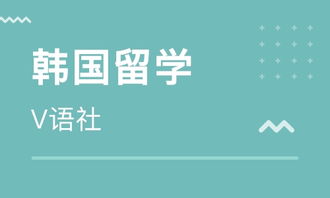 石家庄留学韩国中介指南 如何选择可靠的自费出国留学中介